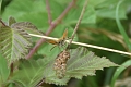 10 07 16_8947_edited-1
